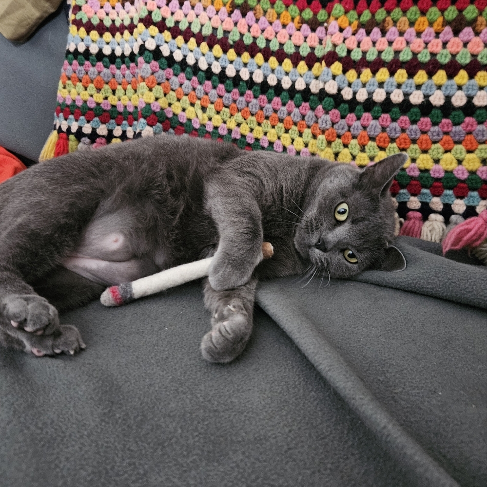 100% wool felt smoke cat toy